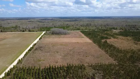 40 Davis Peacock Rd, Kinard, FL 32449 photo 4