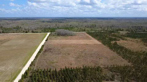 40 Davis Peacock Rd, Kinard, FL 32449 photo 2