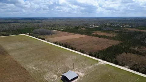 40 Davis Peacock Rd, Kinard, FL 32449 photo 6