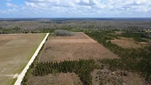 40 Davis Peacock Rd, Kinard, FL 32449 photo 5