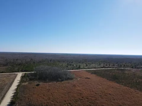 40 Davis Peacock Rd, Kinard, FL 32449 photo 12