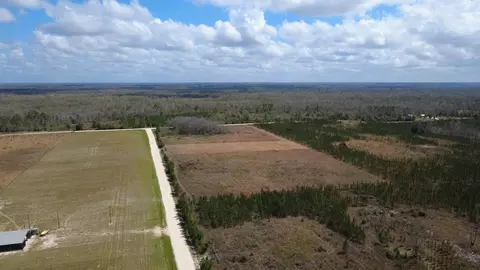 40 Davis Peacock Rd, Kinard, FL 32449 photo 17
