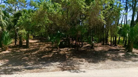 840 E Pine Ave, Saint George Island, FL 32328