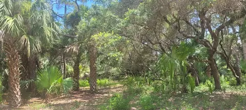 840 E Pine Ave, Saint George Island, FL 32328