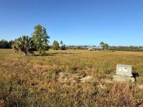 lot12 Harmony St, Wewahitchka, FL 32465