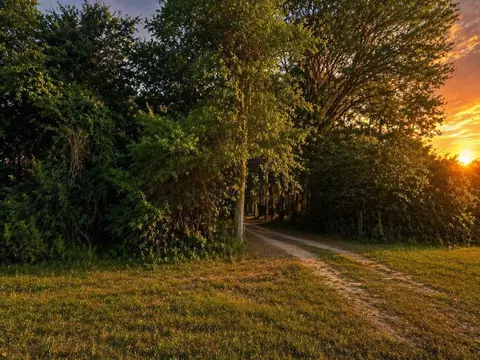 708 Cr 386 N, Wewahitchka, FL 32465