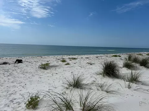 989 Gulf Shore Dr, Carrabelle, FL 32322