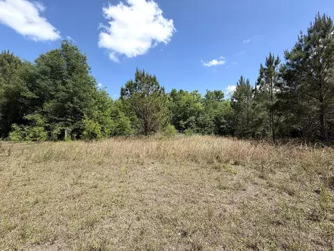 5581 Hwy 71 S, Wewahitchka, FL 32465