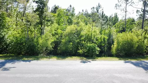 lot1 Old Bay City Rd, Wewahitchka, FL 32465