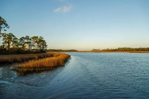 588 River Rd, Carrabelle, FL 32322 photo 55