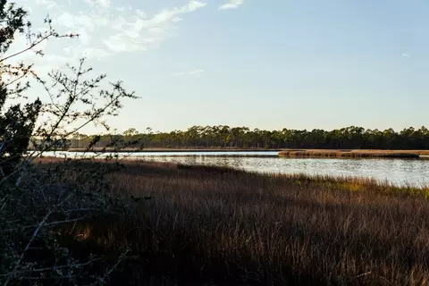 588 River Rd, Carrabelle, FL 32322 photo 48