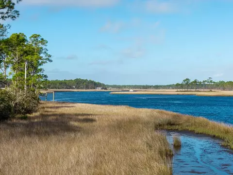 588 River Rd, Carrabelle, FL 32322 photo 58