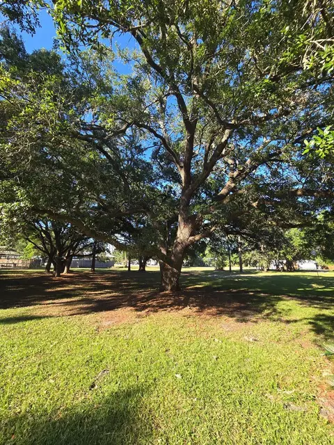 148 Craig St, Carrabelle, FL 32322 photo 22