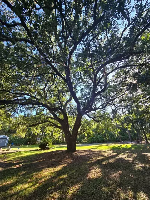148 Craig St, Carrabelle, FL 32322 photo 15