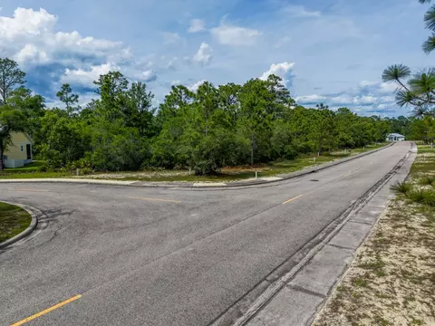 137 Anhinga Ct, Carrabelle, FL 32323 photo 9