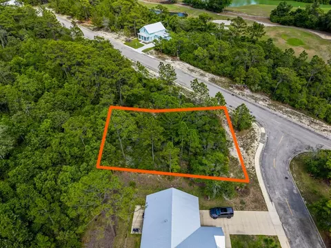 137 Anhinga Ct, Carrabelle, FL 32323 photo 4