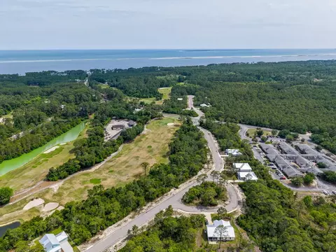 137 Anhinga Ct, Carrabelle, FL 32323 photo 11