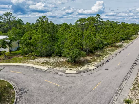 137 Anhinga Ct, Carrabelle, FL 32323 photo 10