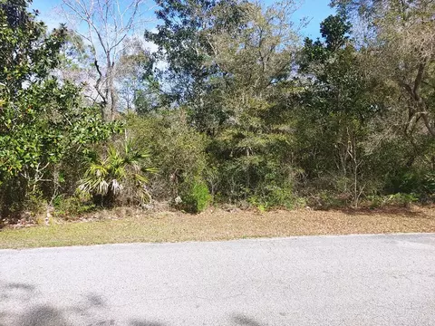 125 Water Oaks Way, Apalachicola, FL 32320
