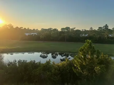 View/Area - 324 Eagles Way #324, Carrabelle, FL 32322 photo 3 of 14