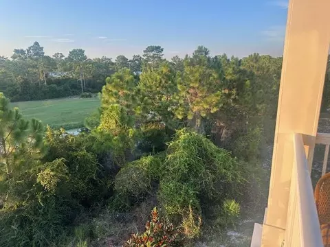 View/Area - 324 Eagles Way #324, Carrabelle, FL 32322 photo 5 of 14