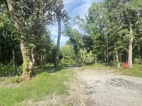 246 Mcglon Dr, Wewahitchka, FL 32465