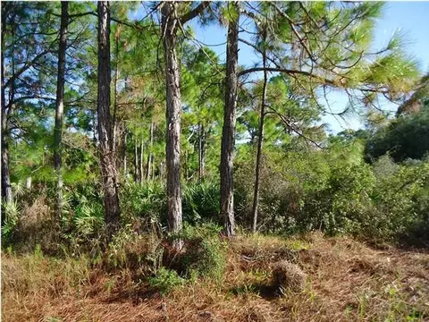 1012 Porter St, Saint George Island, FL 32328