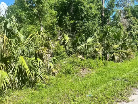 000 Faulkner St S, Perry, FL 32348 photo 3