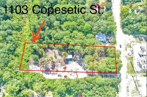 1103 Copasetic, Carrabelle, FL 32322