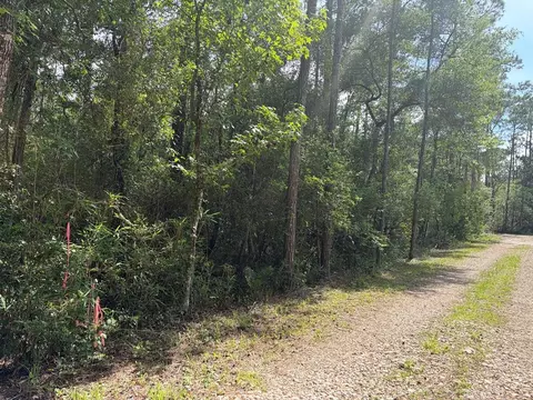 lot18 Pamela Pl, Sopchoppy, FL 32358