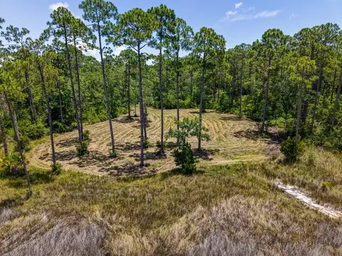 301 Jay Jay Way, Carrabelle, FL 32322 photo 4