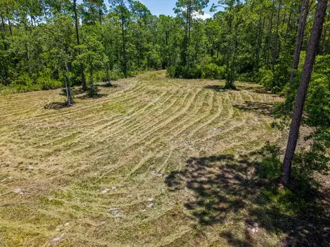 301 Jay Jay Way, Carrabelle, FL 32322 photo 3