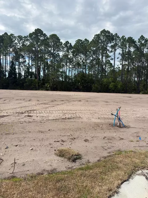 lot2 Pine Branch Ct, Port St. Joe, FL 32456