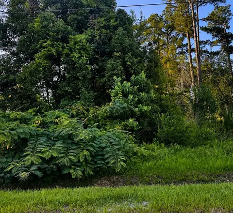 lot10 Chipola Ave, Wewahitchka, FL 32465