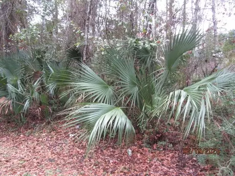 358 20th Ave, Apalachicola, FL 32320
