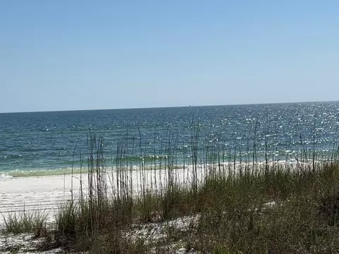 8890 Hwy 98 W, Port St. Joe, FL 32456