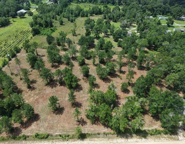 0 Corn Griffin St, Wewahitchka, FL 32465