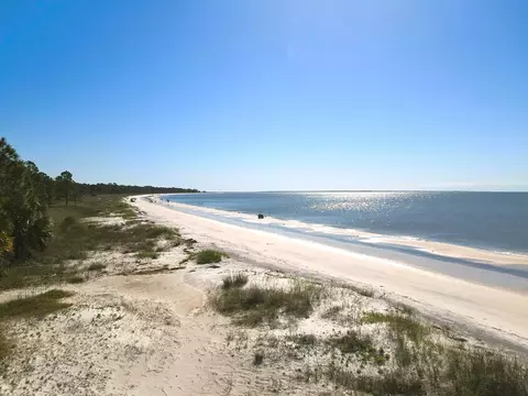 723 Three Rivers Rd, Carrabelle, FL 32322 photo 7