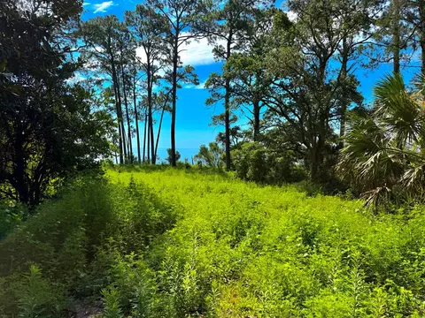 3206 Hwy 98 E, Carrabelle, FL 32323 photo 12