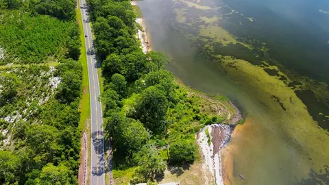 3206 Hwy 98 E, Carrabelle, FL 32323 photo 10
