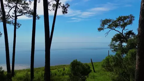 3206 Hwy 98 E, Carrabelle, FL 32323 photo 2