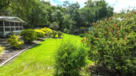 205 Marks St, Carrabelle, FL 32322 photo 4