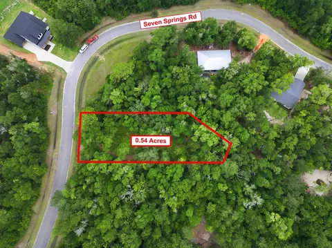 229 Seven Springs Rd, Wewahitchka, FL 32465