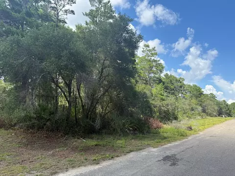 1935 Cape St, Carrabelle, FL 32322 photo 18