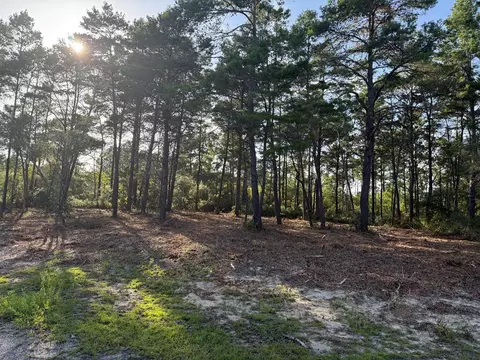 1935 Cape St, Carrabelle, FL 32322 photo 15