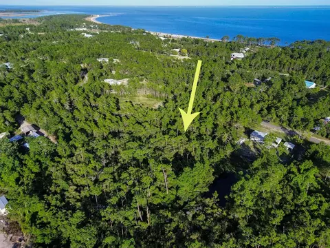 1935 Cape St, Carrabelle, FL 32322 photo 5