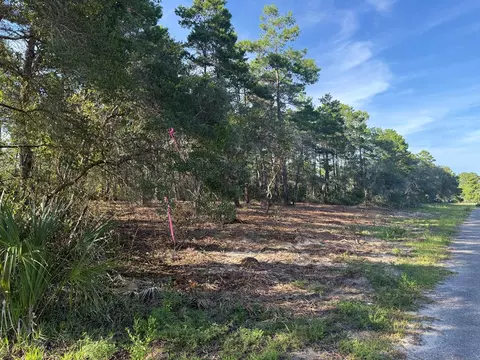 1935 Cape St, Carrabelle, FL 32322 photo 12
