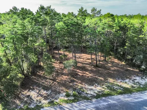 1935 Cape St, Carrabelle, FL 32322 photo 2