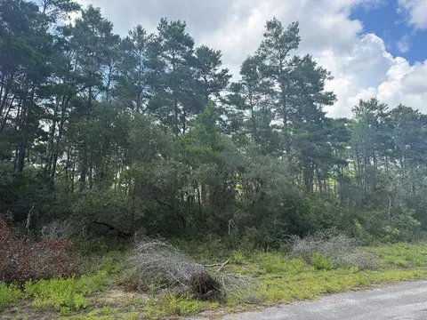 1935 Cape St, Carrabelle, FL 32322 photo 19