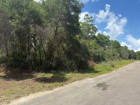 1935 Cape St, Carrabelle, FL 32322 photo 16